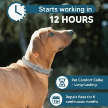 Adjustable Collars,Small Dog Vet-Recommended Flea ,Tick Treatment And Prevention Collar For Dogs And Cat,8 Months Protection - con mèo - Xem 6