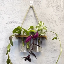 1 Stück wandmontierter Pflanzenbehälter mit Haustier-Material-Reagenzglas, 1/2-stufiger Pflanzer, Wand-Container für Zuhause/Büro, Pflanzenhänger, Vase, Wanddekoration, Hydroponik, Wandhängender Pflanzer, minimalistischer Pflanzenhalter, stilvoller Pflanzer, stabile Wandmontage, Vermehrungsset, wandhängender Behälter, Stadtgärtner, Heimgärtner - Verschiedenfarbig - Übersicht 4