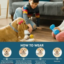 Adjustable Collars,Small Dog Vet-Recommended Flea ,Tick Treatment And Prevention Collar For Dogs And Cat,8 Months Protection - con mèo - Xem 3