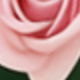 粉色