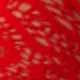 Đỏ