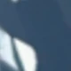 彩色