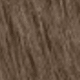 Yongqing Brown 2