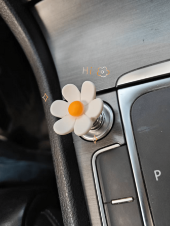 6-Blüten-Blumen-förmige Gänseblümchen Auto Zündvorrichtung - Praktisch gestaltete Knöpfe für lange Nägel, die die Finger nicht verletzen - Professionelle Maniküre-spezifische universelle kreative Auto-Startvorrichtung - Neuer Auto-Startknopf-Halter mit schönem Design