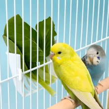 Parrot Fruit & Vegetable Feeder - White Bird Feeder, Parrot Fruit & Vegetable Tray, Bird Food Rack, Parrot Fruit & Vegetable Stand, Bird Fruit & Vegetable Tray, Parrot Food Rack, Bird Fruit & Vegetable Tray, Parrot Feeder, Suitable For All Seasons - / - View 7