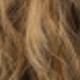 Brown Highlight