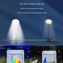 1 个迷你水族箱灯夹，5W（小）水族箱灯，7W（大）水族箱灯，USB 水族箱灯，360° 旋转照明，适用于小型鱼缸、淡水缸和水草缸