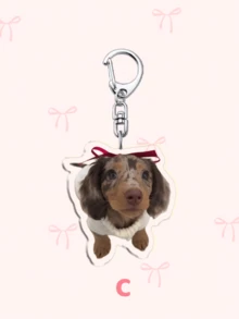 1pc Adorable Acrylic Chihuahua Face Keychain: Featuring Characters Bag Accessories, Funny Jewelry, And Fans Gifts. Ideal For Boyfriends, Girlfriends, Family Members, Teachers, Party Gifts, And Dog-Themed Cell Phone Decorations. - Multicolor - View 11