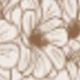 Màu be