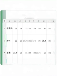 黑色玛丽珍高跟鞋，2024夏季新款，百搭，学院风，厚底，平底女鞋