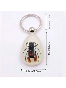 1pc Transparent Insect Keychain, Amber Insect Specimen Keychain Pendant - Multicolor - View 3