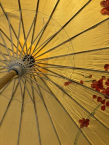 Paraguas de bambú decorativos para bodas en paquete único, adecuados para decoraciones y accesorios de bodas y vacaciones, paraguas de novia tradicionales hechos a mano, elegantes accesorios para fotografías y fiestas - Amarillo - Ver 6