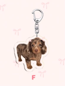 1pc Adorable Acrylic Chihuahua Face Keychain: Featuring Characters Bag Accessories, Funny Jewelry, And Fans Gifts. Ideal For Boyfriends, Girlfriends, Family Members, Teachers, Party Gifts, And Dog-Themed Cell Phone Decorations. - Multicolor - View 17