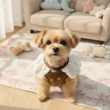 New Autumn/Winter Pet Dog Cat Lace Floral Harness Vest, Leash Attached, Teddy Poodle Homewear Pullover