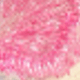 Pink Pearl Butterfly