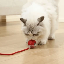 360 Degree Rolling Smart Cat Toy Ball, Self-Moving Rechargeable Motion Toy To Encourage Healthy Activity For Indoor Cats - Multicolor - View 11