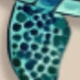 Multicolor