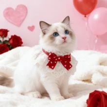 1件心形/格子蝴蝶结蕾丝兔子猫咪可爱领结宠物围巾，情人节宠物项圈，适合兔子/猫咪等小型宠物，四季皆宜 - 彩色 - 查看 11