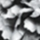 Black and White