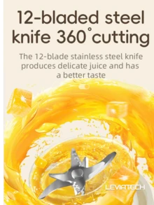 RAF 1个450毫升无线便携式电动榨汁搅拌机，USB充电迷你果汁搅拌机，带12个刀片和双杯，多功能榨汁杯搅拌机，适合家庭或户外厨房食品加工，非常适合榨取蔬菜、水果和制作冰沙。