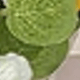 彩色