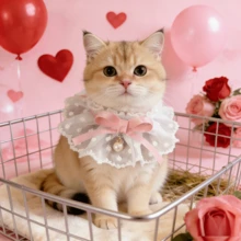 1件蕾丝蝴蝶结仿珍珠宠物项链，可爱兔子/猫咪领结宠物围巾，情人节宠物项圈，适合兔子/猫咪的小号宠物围兜，四季皆宜 - 彩色 - 查看 3