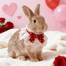 1件心形/格子蝴蝶结蕾丝兔子猫咪可爱领结宠物围巾，情人节宠物项圈，适合兔子/猫咪等小型宠物，四季皆宜 - 彩色 - 查看 3