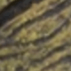 màu xanh lá