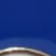 Blue Shark
