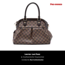 Louis Vuitton Authenticated  PRE-OWNED Damier Ebene Trevi PM Bag - màu nâu - Xem 1