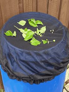 Regenfass-Netzabdeckung, Regenfass-Filternetze, verstellbare Kordel-Regenfass-Netze, Outdoor-Garten-Regenfass-Zubehör-Filternetze, um Moskitos, Blätter und andere Verschmutzungen am Eintritt in das Fass zu hindern - Outdoor-Garten, Pavillon, Terrasse, Veranda-Zubehör (Fass nicht enthalten) - Verschiedenfarbig - Übersicht 2