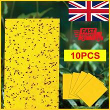 10 Pack Yellow Sticky Fly Trap Paper Fruit Flies Insect Aphids Glue Catcher Bug - Yellow - View 1