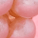 蝴蝶結8879