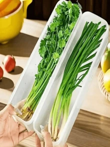 1 Piece Of Coriander/Scallion Storage Box, Refrigerator Fresh-Keeping Box, Thick Noodles/Egg Storage Box, Transparent Cover, Anti-Odor, Refrigerator Storage Box - Trong suốt - Xem 6