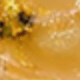 Màu be
