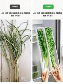1 Piece Of Coriander/Scallion Storage Box, Refrigerator Fresh-Keeping Box, Thick Noodles/Egg Storage Box, Transparent Cover, Anti-Odor, Refrigerator Storage Box - Trong suốt - Xem 9