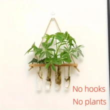 1 Stück wandmontierter Pflanzenbehälter mit Haustier-Material-Reagenzglas, 1/2-stufiger Pflanzer, Wand-Container für Zuhause/Büro, Pflanzenhänger, Vase, Wanddekoration, Hydroponik, Wandhängender Pflanzer, minimalistischer Pflanzenhalter, stilvoller Pflanzer, stabile Wandmontage, Vermehrungsset, wandhängender Behälter, Stadtgärtner, Heimgärtner - Verschiedenfarbig - Übersicht 9