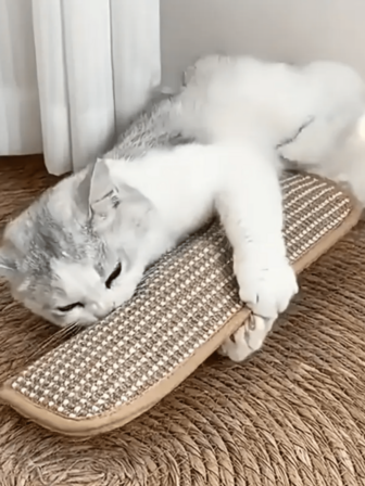 1个猫玩具抱枕，耐咬耐啃，可用于自娱自乐和打发无聊时光，猫抓板，猫玩具，猫薄荷抱枕，可用于自娱自乐和打发无聊时光，围栏式猫抓板，猫薄荷玩具，宠物玩具，宠物用品