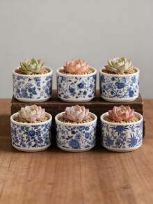 1pc/6pcs Blue & White Ceramic Succulent Planter, Chinese Porcelain Flower Pot With Drainage Hole, Small Bonsai/Cactus Pot, Suitable For Indoor Home Decor, Office Desk And Garden (Plants Not Included) - Multicolor - View 4