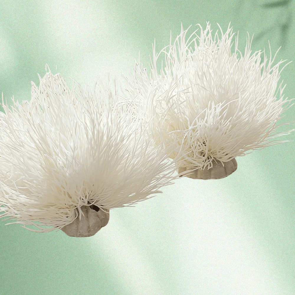 2pcs Realistic Coral Decor, White Cute Ball-Shaped Aquarium Fish Tank Landscaping Artificial Plants