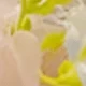 彩色