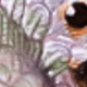 彩色