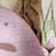 彩色