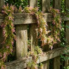 5.8FT Pink White Artificial Vine Garland For Wedding Decor, Realistic Faux Silk Flower Garland For Romantic Room Decoration, Bridal Shower, Arch, Wall, Stairs, Indoor Outdoor Party Decor, Spring Easter Home Decor