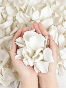 100/500/1000/2000/3000片人造白玫瑰花瓣，浪漫手工花，适用于婚礼、派对、房间装饰、家居装饰、生日装饰、餐桌装饰、卧室装饰、浴室装饰、情人节礼物、毕业装饰 - 白色 - 查看 3