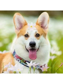 1件装可调节宠物项圈，动物图案，适合猫狗佩戴 - 彩色 - 查看 4