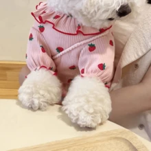 1 pieza Atuendo de fresa de dos patas para perro y gato, ropa de nuevo estilo primavera/otoño para Teddy, Bichón, Caniche y otros perros y gatos pequeños - Multicolor - Ver 5