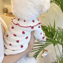 1 pieza Atuendo de fresa de dos patas para perro y gato, ropa de nuevo estilo primavera/otoño para Teddy, Bichón, Caniche y otros perros y gatos pequeños - Multicolor - Ver 2