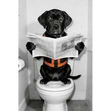 Personalized Pet Design, Depicting A Pet Sitting On The Toilet Reading A Newspaper, Black And White Pattern, Pet Gift, Gift For Friends And Family (Random Scene) - Multicolor - View 6