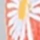彩色